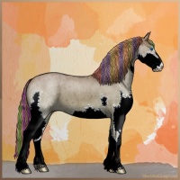 Horse Color:Painted Liver Red Dun Roan Splash 