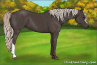 Horse Color:Silver Black 