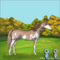 Horse Color:Chestnut Splash 