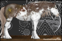 Horse Color:Liver Chestnut Sabino 