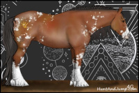 Horse Color:Brown Sabino Rabicano