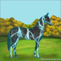 Horse Color:Gray Thunderstruck Brown 