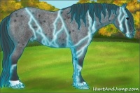 Horse Color:Thunderstruck Blue Roan Appaloosa