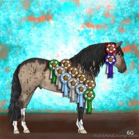 Horse Color:Brown Dun Brindle 