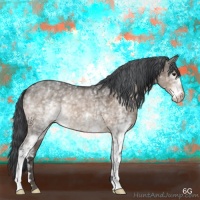 Horse Color:White Spotted Brown Dun 