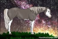 Horse Color:Silver Black Splash