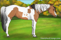 Horse Color:Bay Tobiano 