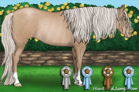 Horse Color:Silver Blue Roan Pearl Rabicano