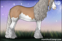 Horse Color:Silver Brown Dun Splash 