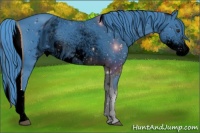 Horse Color:White Spotted Chestnut Tobiano Rabicano 