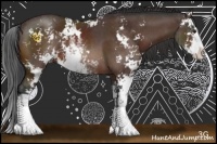 Horse Color:Brown Sabino