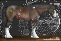 Horse Color:Brown Sabino Rabicano