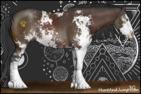 Horse Color:Bay Sabino Rabicano 