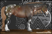 Horse Color:Liver Chestnut Sabino