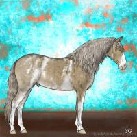 Horse Color:White Spotted Chocolate Palomino Dun Mushroom Sabino Brindle