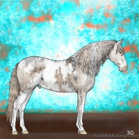 Horse Color:White Spotted Liver Red Dun Sabino 