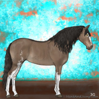 Horse Color:White Spotted Liver Red Dun Sabino Brindle