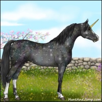 Horse Color:Midnight Black Ice Sabino 