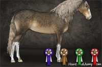 Horse Color:Chocolate Palomino