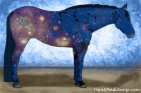 Horse Color:White Spotted Palomino 