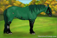 Horse Color:Watercolor Chestnut Sabino Splash