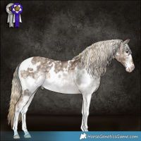 Horse Color:White Spotted Chocolate Palomino Mushroom