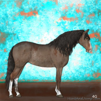 Horse Color:Liver Red Dun Sabino Rabicano Brindle