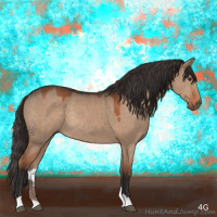 Horse Color:Liver Red Dun Rabicano 
