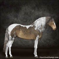 Horse Color:White Spotted Chocolate Palomino Mushroom Tobiano