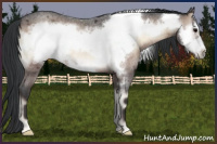 Horse Color:Brown Roan Onyx Frame Rabicano 