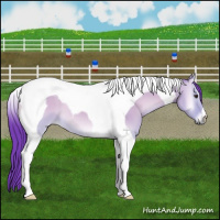 Horse Color:Watercolor Bay Onyx Tobiano
