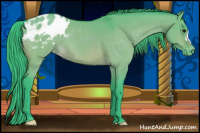 Horse Color:Watercolor Brown Dun Appaloosa 