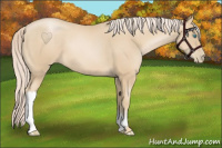 Horse Color:Palomino Pearl