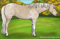 Horse Color:Silver Smoky Black Ice Tobiano 