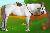 Horse Color:White Spotted Grullo Pearl Sabino Splash 