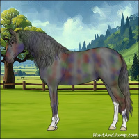 Horse Color:Nacre Black 