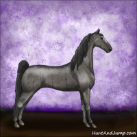 Horse Color:Grullo Brindle 