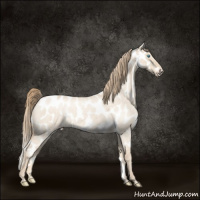 Horse Color:Perlino Roan Dun Appaloosa