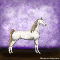 Horse Color:Perlino Dun Appaloosa