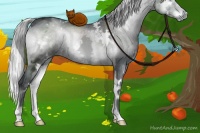 Horse Color:White Spotted Silver Blue Onyx Chinchilla Ice 