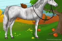 Horse Color:Chocolate Silver Blue Onyx Chinchilla Ice Sabino Tobiano 