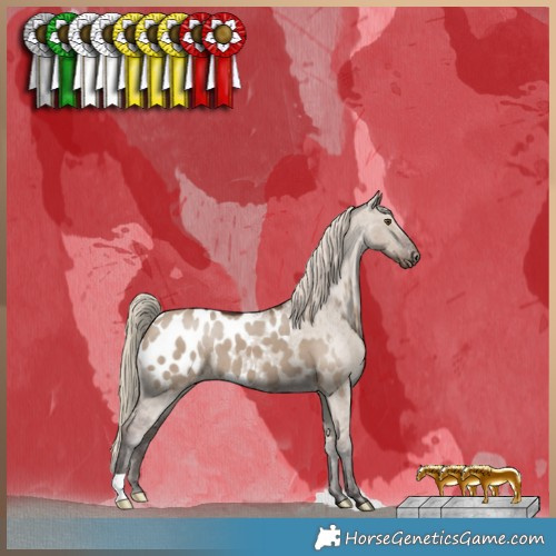 Horse Color:Liver Red Dun Appaloosa 
