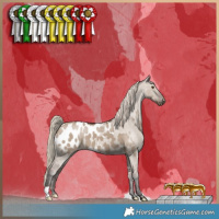 Horse Color:Liver Red Dun Near Leopard 