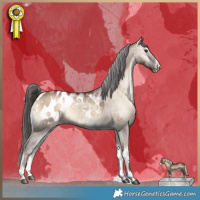 Horse Color:Liver Red Dun Onyx Blanket Brindle 