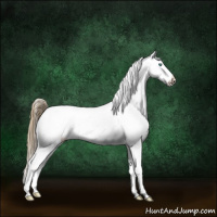 Horse Color:Smoky Grullo Snowdrop Sabino Tobiano Near Leopard