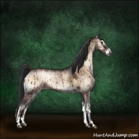 Horse Color:Brown Onyx Sabino