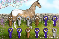 Horse Color:Buckskin Snowcap 
