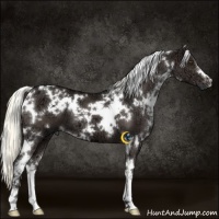 Horse Color:White Spotted Liver Chestnut Ice Mushroom 