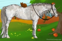 Horse Color:White Spotted Liver Red Dun Ice Splash Rabicano 