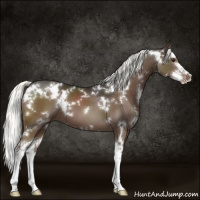 Horse Color:White Spotted Liver Chestnut Mushroom Splash 